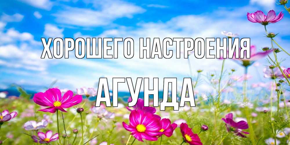 Открытка на каждый день с именем, Агунда Хорошего настроения поле цветов Прикольная открытка с пожеланием онлайн скачать бесплатно 