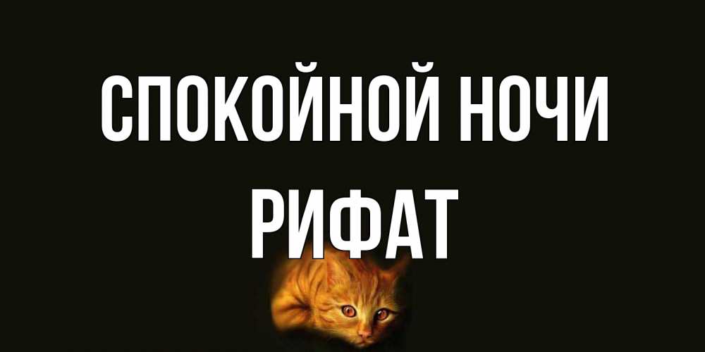Открытка на каждый день с именем, Рифат Спокойной ночи кот Прикольная открытка с пожеланием онлайн скачать бесплатно 