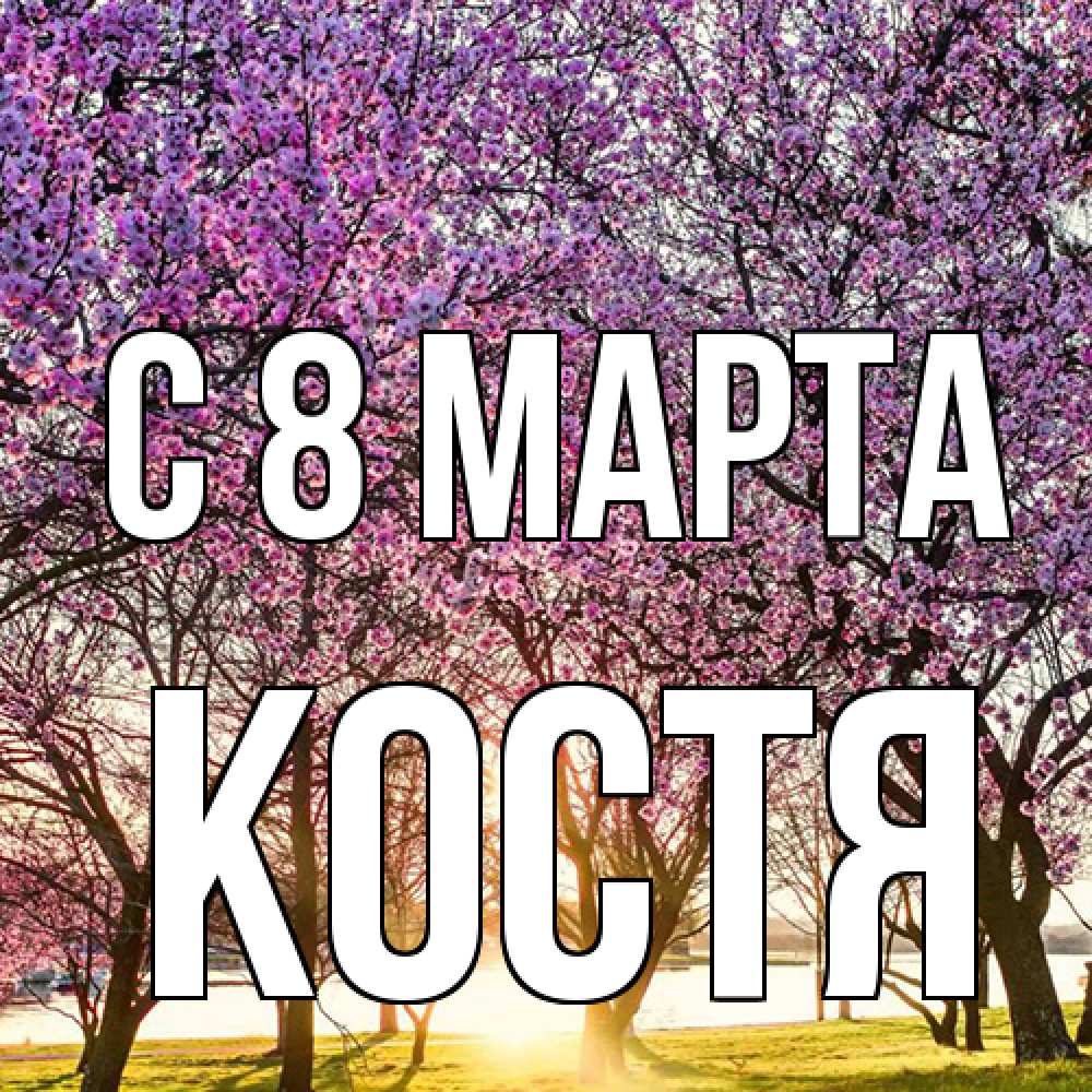 Открытка на каждый день с именем, Костя C 8 МАРТА международный женский день Прикольная открытка с пожеланием онлайн скачать бесплатно 