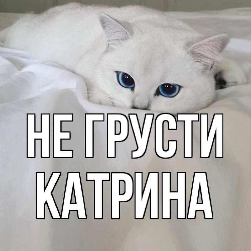 Картинка Не грусти, Катрина
