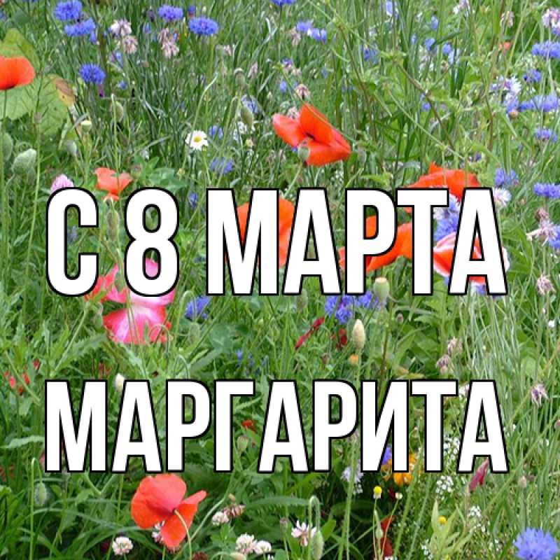 Картинка C 8 МАРТА, Маргарита