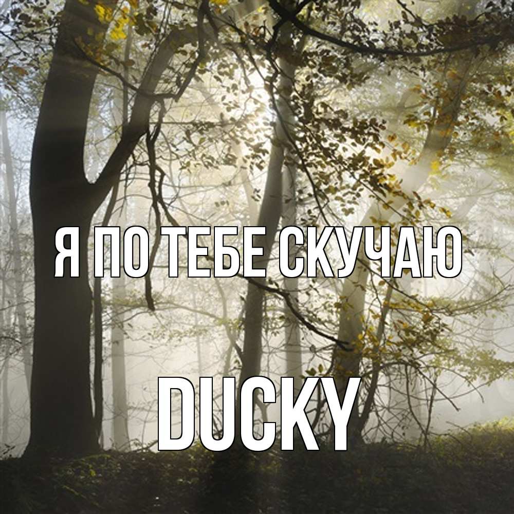 Открытка на каждый день с именем, Ducky Я по тебе скучаю грустно Прикольная открытка с пожеланием онлайн скачать бесплатно 