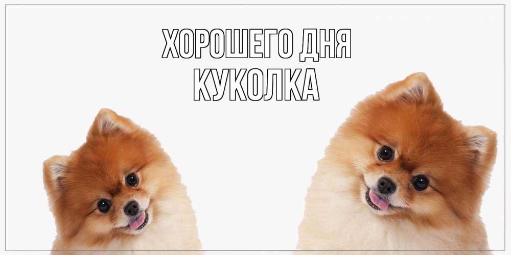 Открытка на каждый день с именем, Куколка Хорошего дня собачки желают прекрасного дня Прикольная открытка с пожеланием онлайн скачать бесплатно 