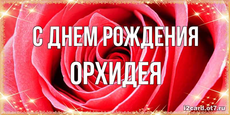 Картинка С днем рождения, Орхидея