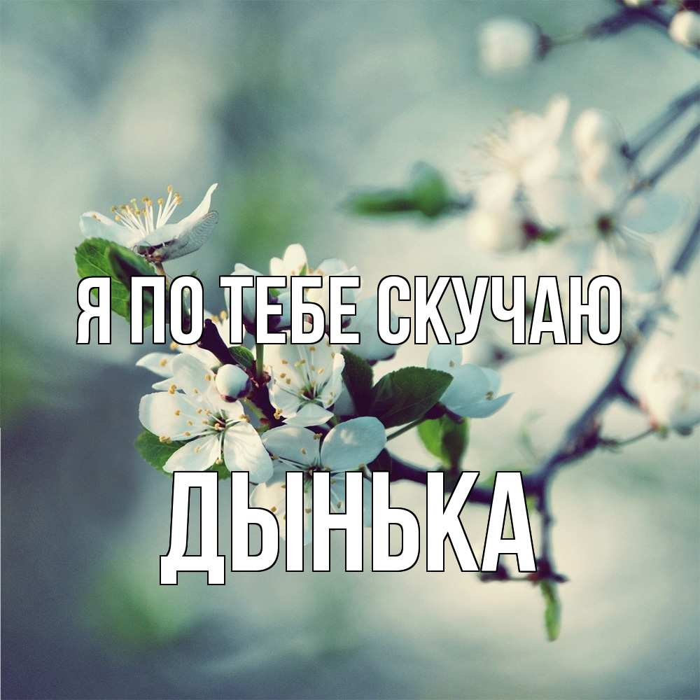 Открытка на каждый день с именем, Дынька Я по тебе скучаю весна Прикольная открытка с пожеланием онлайн скачать бесплатно 