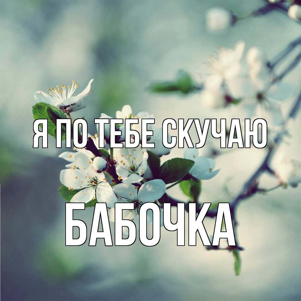 Открытка на каждый день с именем, Бабочка Я по тебе скучаю весна Прикольная открытка с пожеланием онлайн скачать бесплатно 