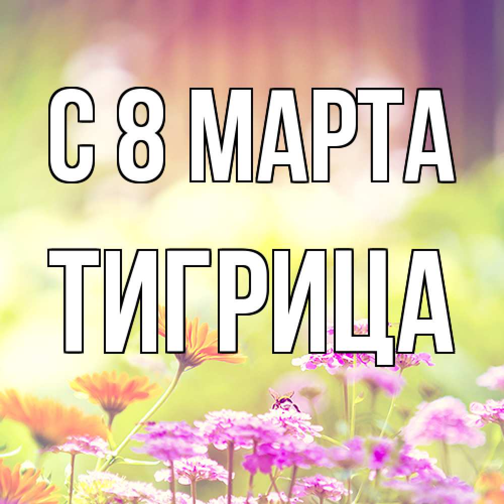 Открытка на каждый день с именем, Тигрица C 8 МАРТА цветы весна Прикольная открытка с пожеланием онлайн скачать бесплатно 