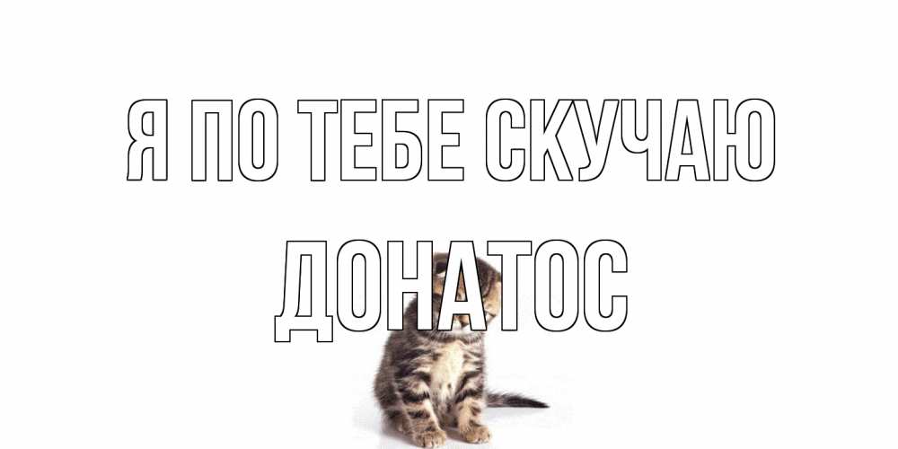 Открытка на каждый день с именем, Донатос Я по тебе скучаю кот Прикольная открытка с пожеланием онлайн скачать бесплатно 