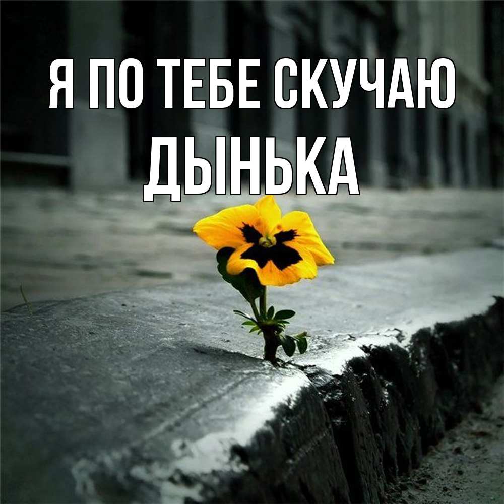 Открытка на каждый день с именем, Дынька Я по тебе скучаю надеюсь будет лучше Прикольная открытка с пожеланием онлайн скачать бесплатно 