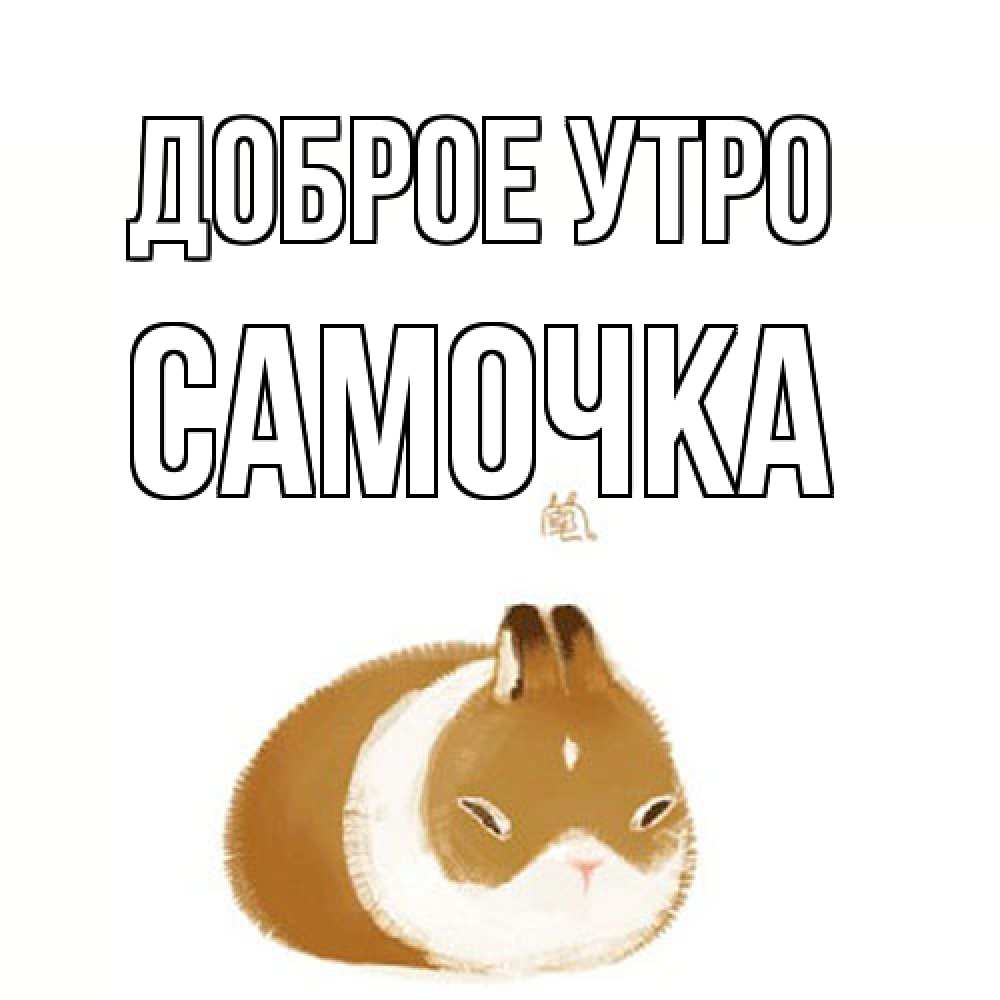 Открытка на каждый день с именем, Самочка Доброе утро хорошего утречка Прикольная открытка с пожеланием онлайн скачать бесплатно 