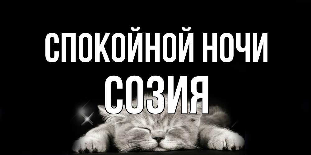 Открытка на каждый день с именем, Созия Спокойной ночи спящий котик Прикольная открытка с пожеланием онлайн скачать бесплатно 