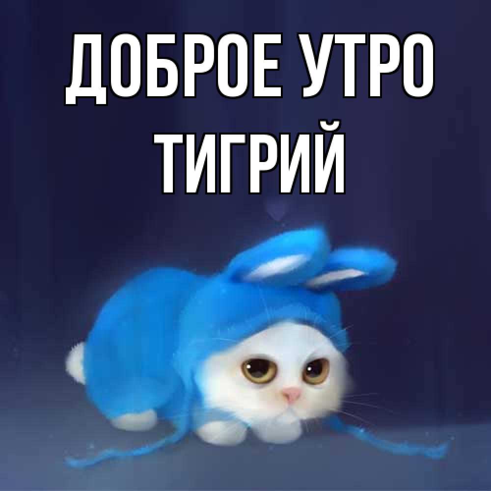 Открытка на каждый день с именем, Тигрий Доброе утро открытки красивые скачать бесплатно Прикольная открытка с пожеланием онлайн скачать бесплатно 