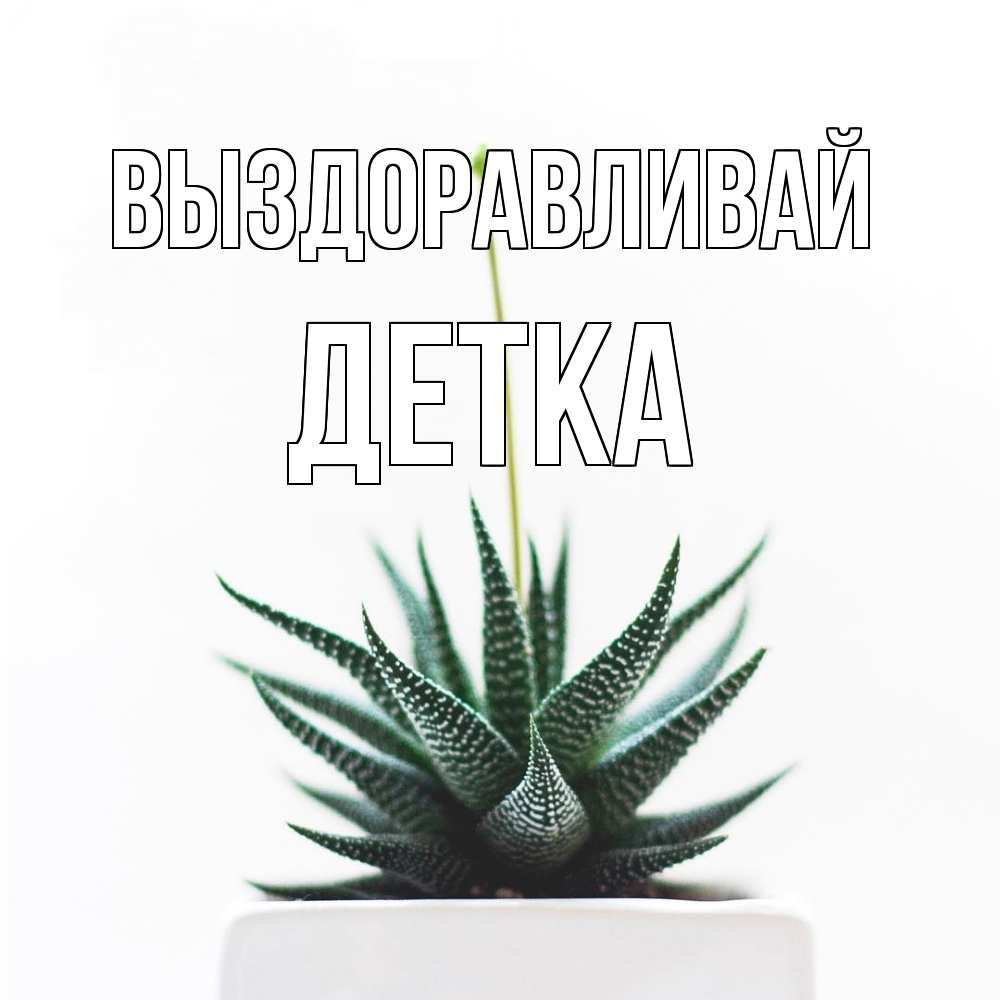 Открытка на каждый день с именем, Детка Выздоравливай короче это непонятная колючка Прикольная открытка с пожеланием онлайн скачать бесплатно 