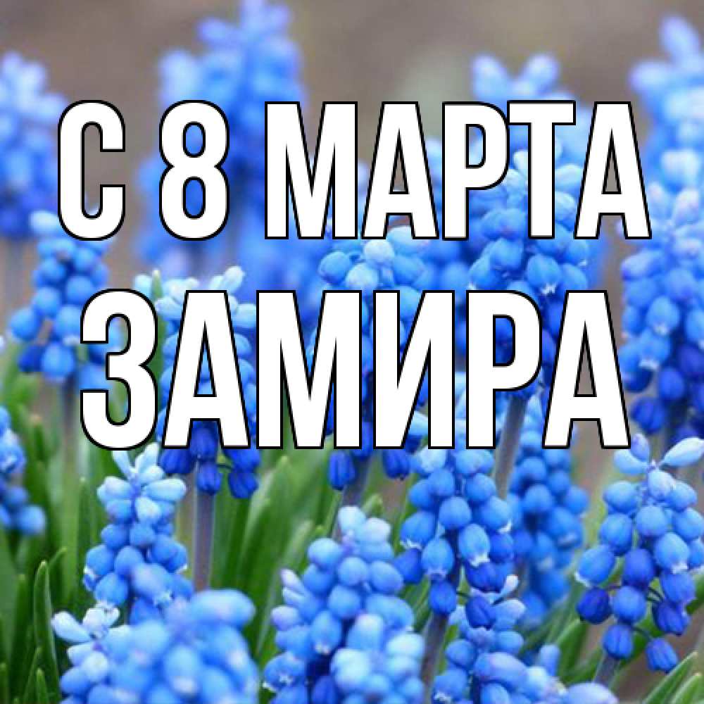 Открытка на каждый день с именем, Замира C 8 МАРТА Поздравительная открытка для женщин с цветами на праздничную дату Прикольная открытка с пожеланием онлайн скачать бесплатно 