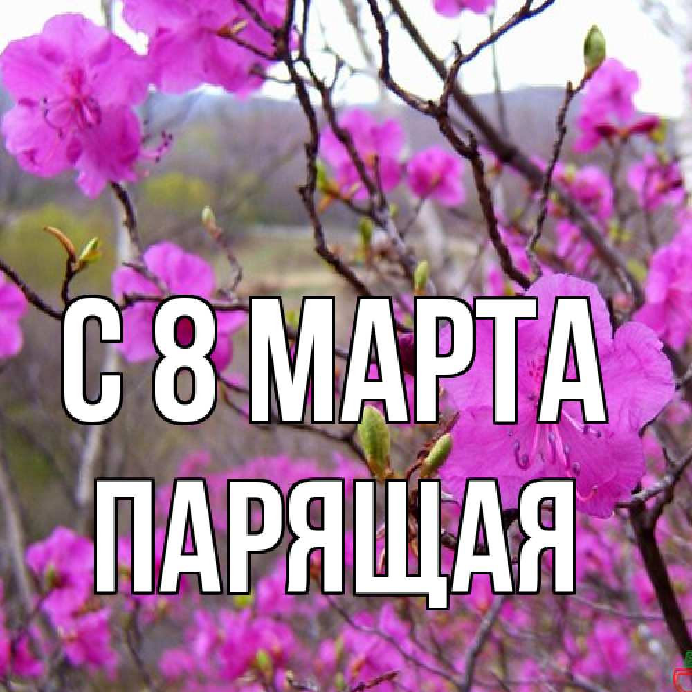 Открытка на каждый день с именем, Парящая C 8 МАРТА международный женский день Прикольная открытка с пожеланием онлайн скачать бесплатно 