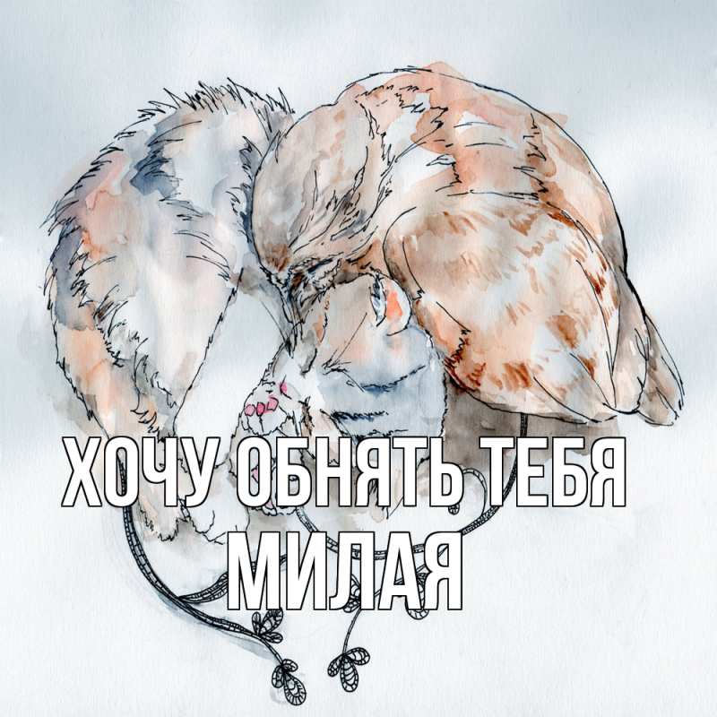 Картинка Хочу обнять тебя, Милая