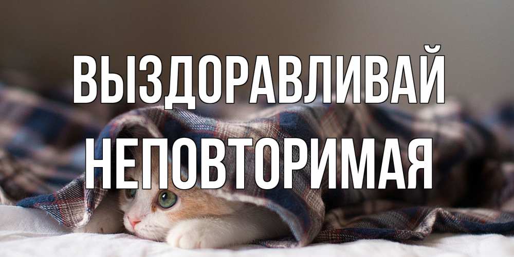 Открытка на каждый день с именем, Неповторимая Выздоравливай не болейте с котиком Прикольная открытка с пожеланием онлайн скачать бесплатно 