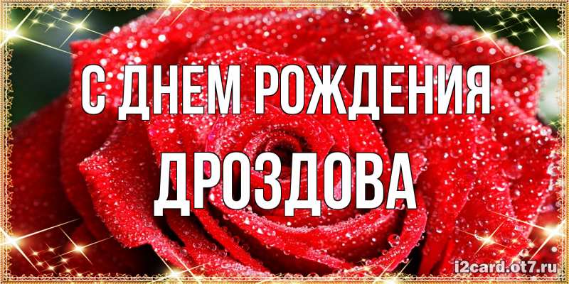 Картинка С днем рождения, Дроздова