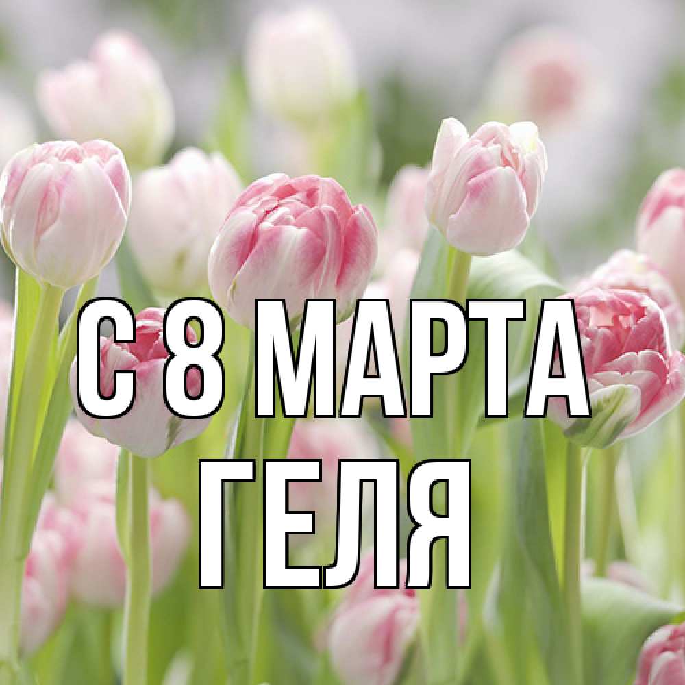 Открытка на каждый день с именем, Геля C 8 МАРТА цветы Прикольная открытка с пожеланием онлайн скачать бесплатно 