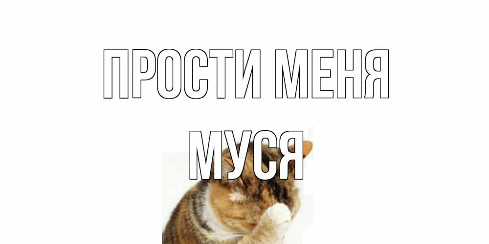 Открытка на каждый день с именем, Муся Прости меня кот Прикольная открытка с пожеланием онлайн скачать бесплатно 