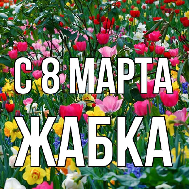 Картинка C 8 МАРТА, Жабка
