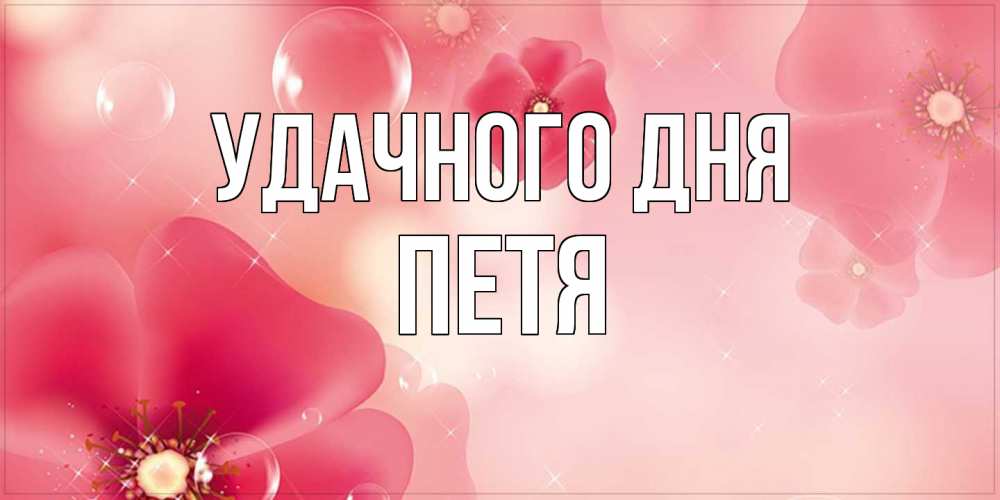 Открытка на каждый день с именем, Петя Удачного дня красивая открытка с цветами Прикольная открытка с пожеланием онлайн скачать бесплатно 