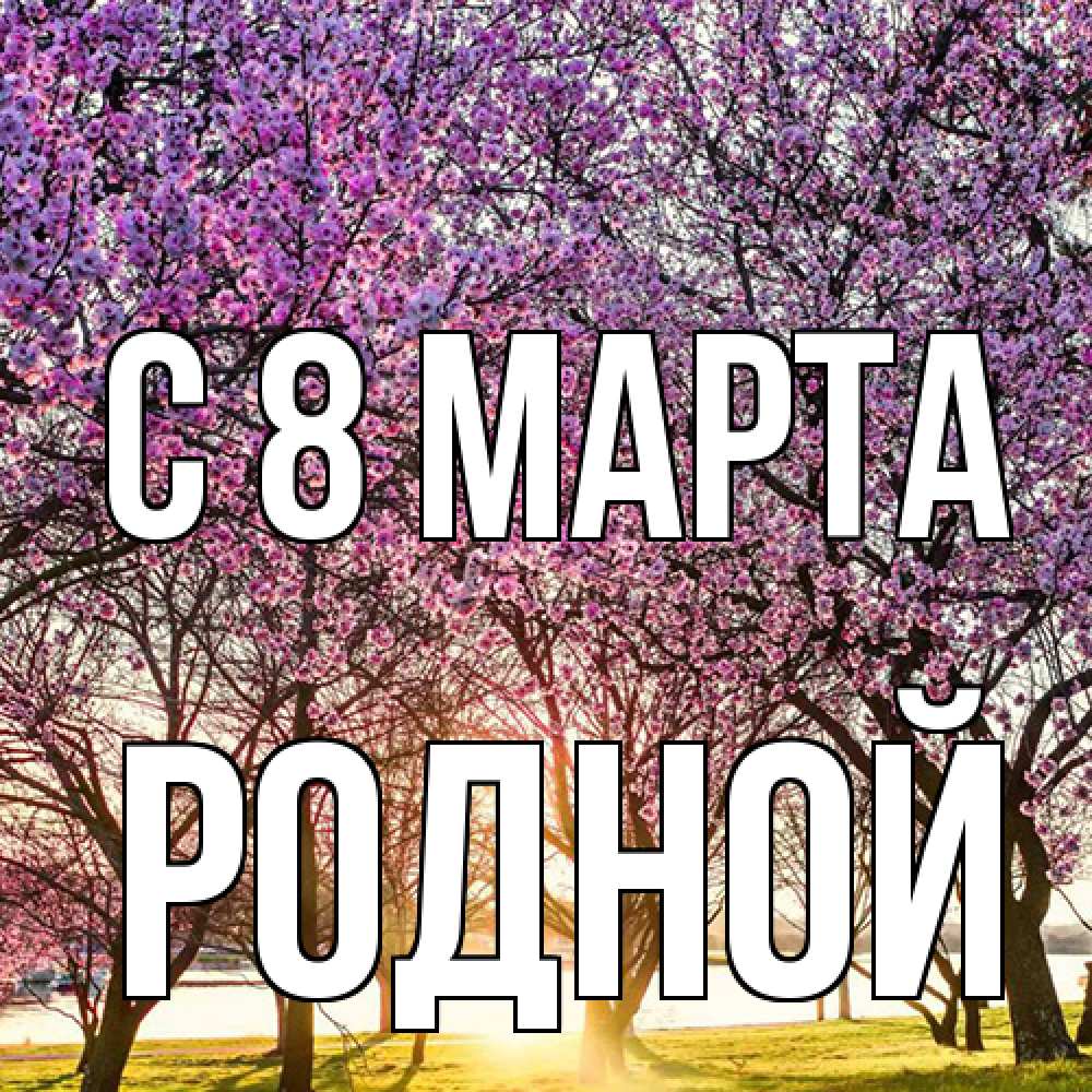 Открытка на каждый день с именем, Родной C 8 МАРТА международный женский день Прикольная открытка с пожеланием онлайн скачать бесплатно 