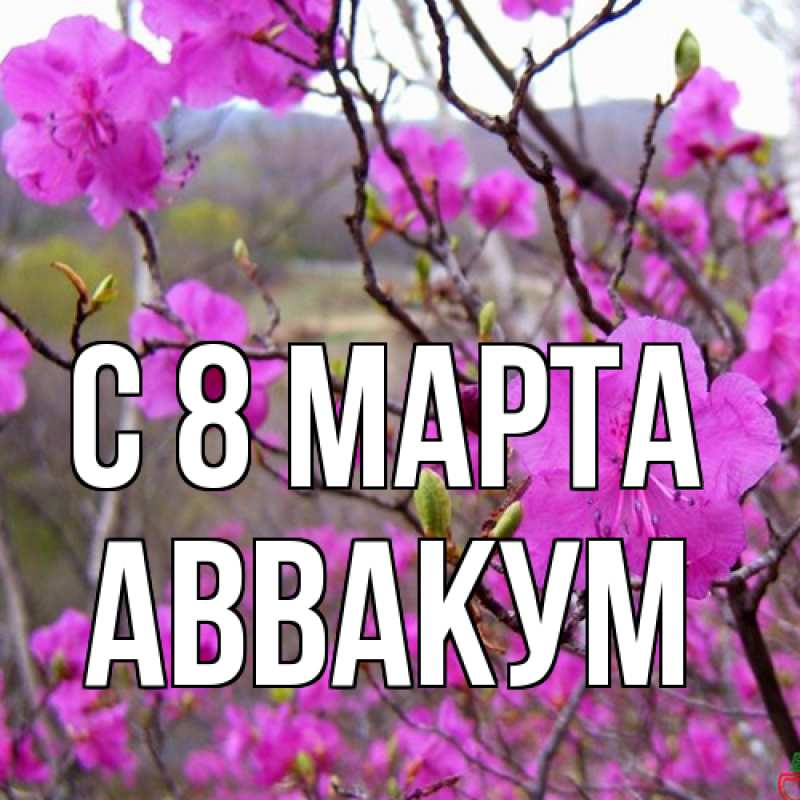 Картинка C 8 МАРТА, Аввакум