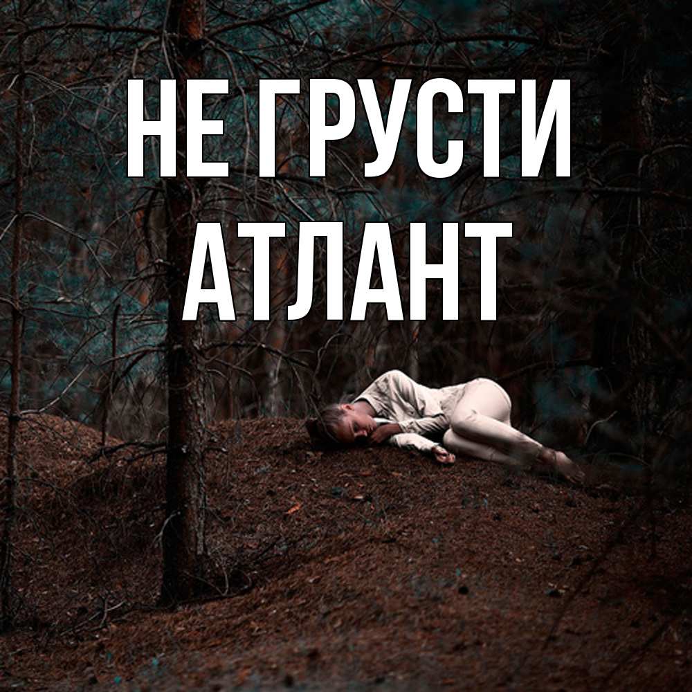 Открытка на каждый день с именем, Атлант Не грусти лес Прикольная открытка с пожеланием онлайн скачать бесплатно 