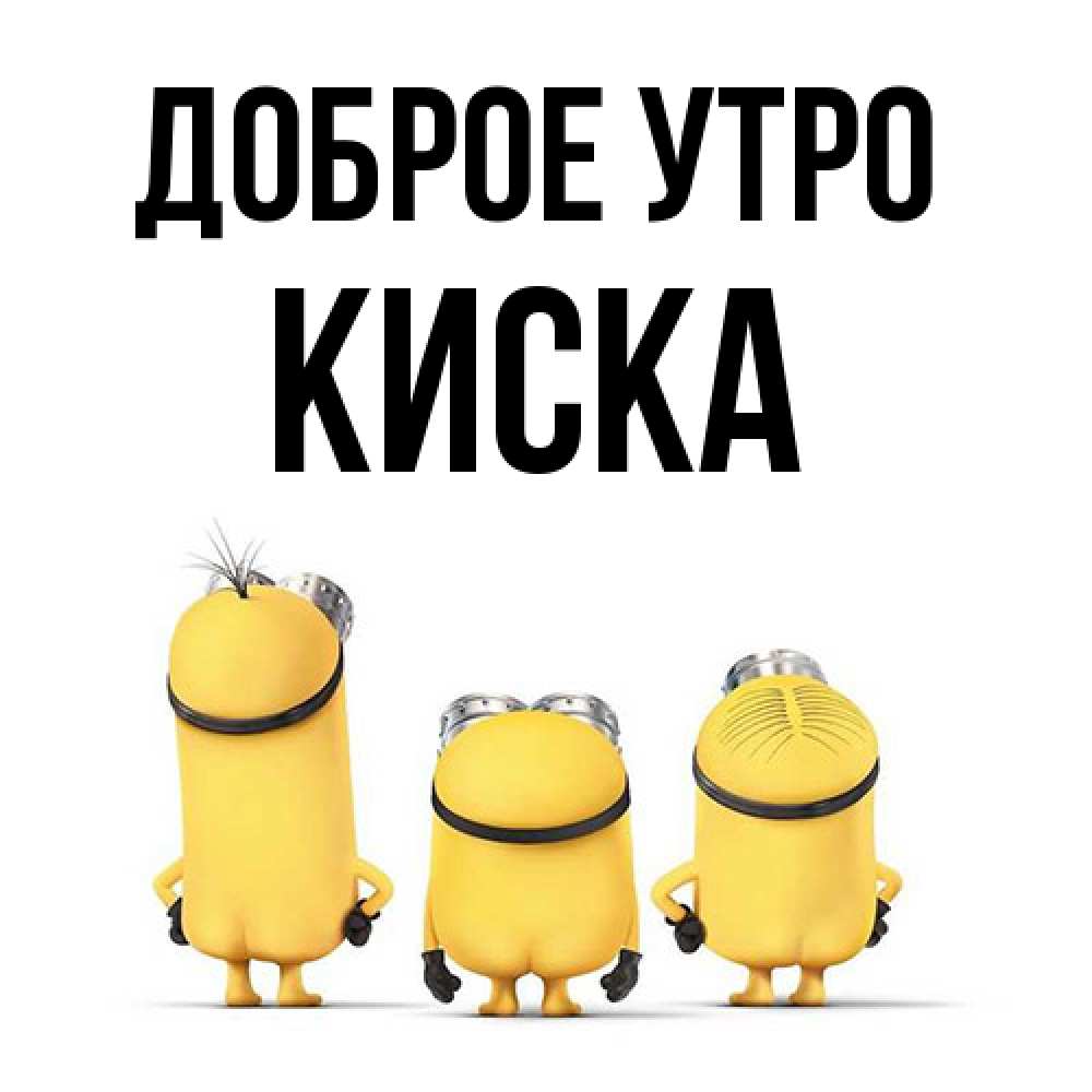 Открытка на каждый день с именем, Киска Доброе утро подписать открытку онлайн бесплатно Прикольная открытка с пожеланием онлайн скачать бесплатно 