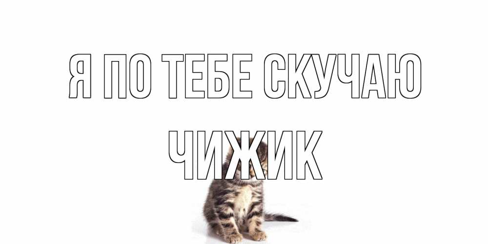 Открытка на каждый день с именем, Чижик Я по тебе скучаю кот Прикольная открытка с пожеланием онлайн скачать бесплатно 