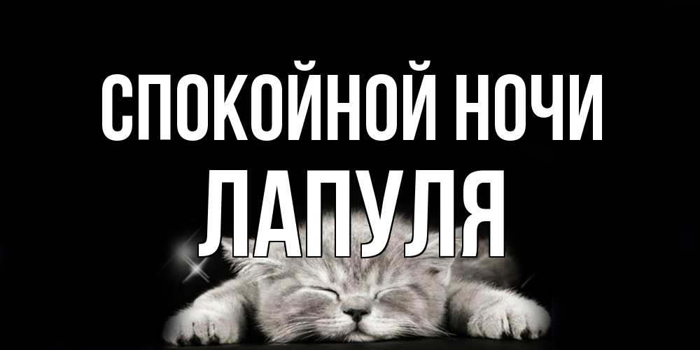 Открытка на каждый день с именем, Лапуля Спокойной ночи спящий котик Прикольная открытка с пожеланием онлайн скачать бесплатно 