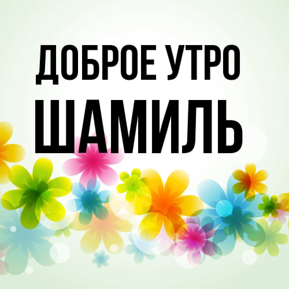 Открытка на каждый день с именем, Шамиль Доброе утро позитивные цветочки Прикольная открытка с пожеланием онлайн скачать бесплатно 