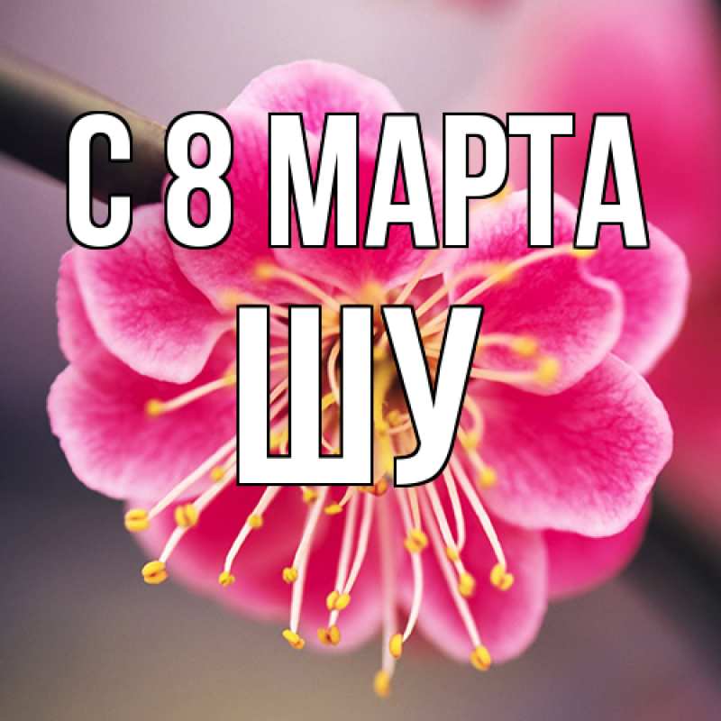 Картинка C 8 МАРТА, Шу