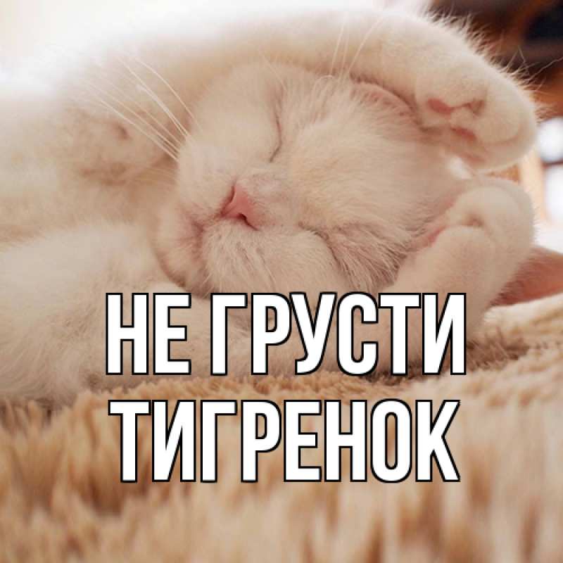 Картинка Не грусти, Тигpенок