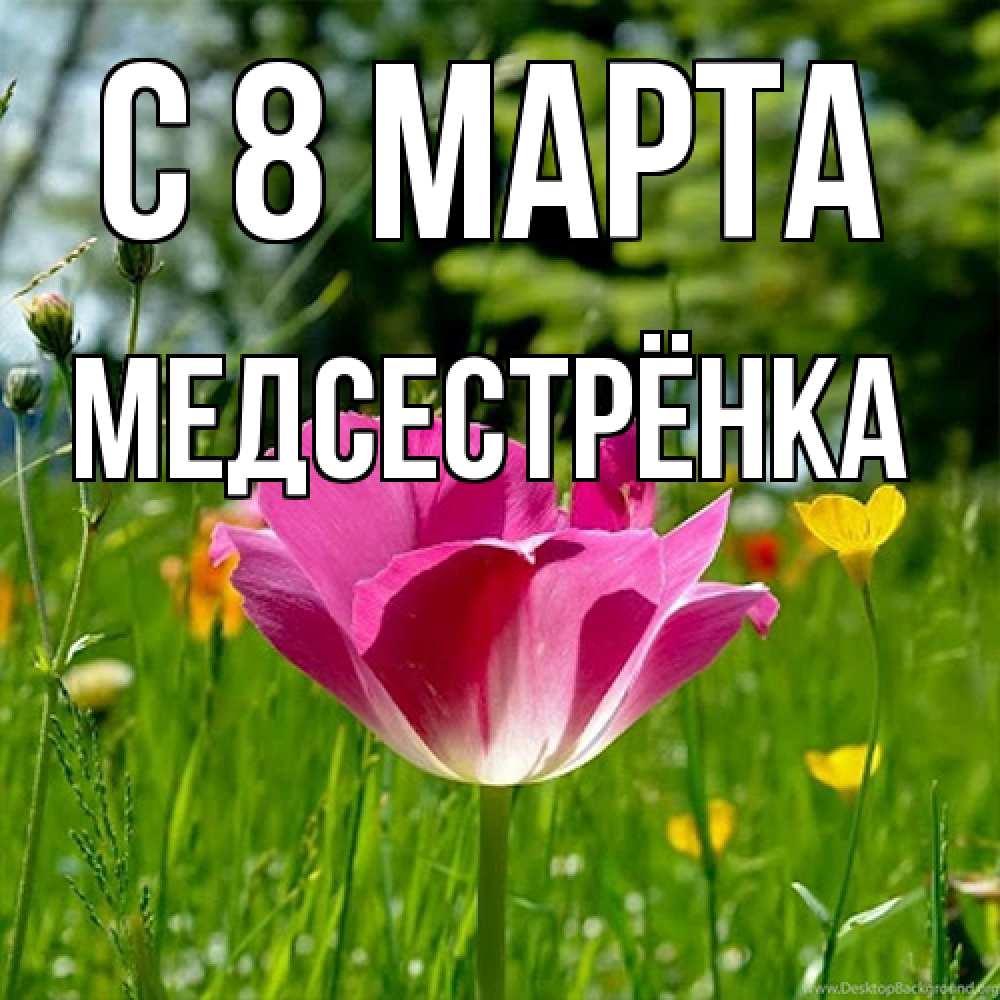 Открытка на каждый день с именем, Медсестрёнка C 8 МАРТА полевые цветы Прикольная открытка с пожеланием онлайн скачать бесплатно 