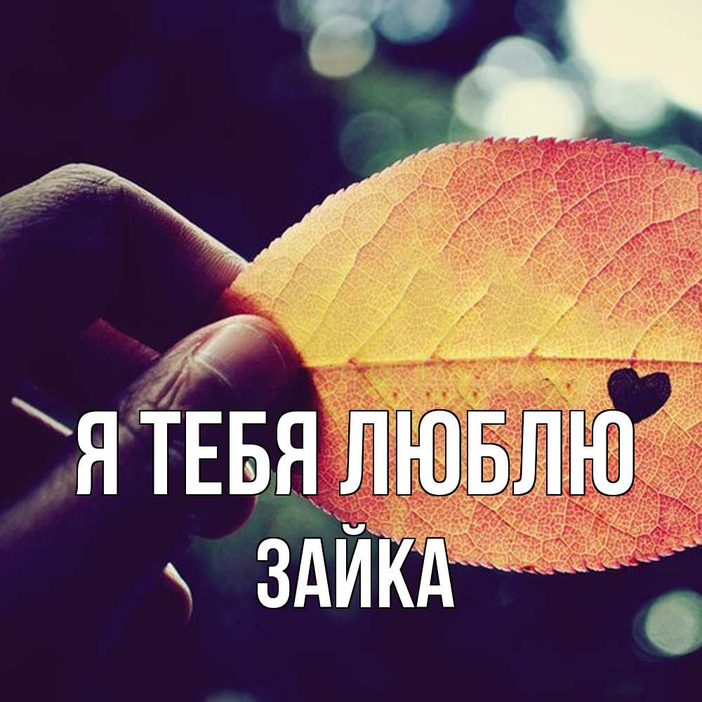 Открытка на каждый день с именем, Зайка Я тебя люблю держу лист Прикольная открытка с пожеланием онлайн скачать бесплатно 