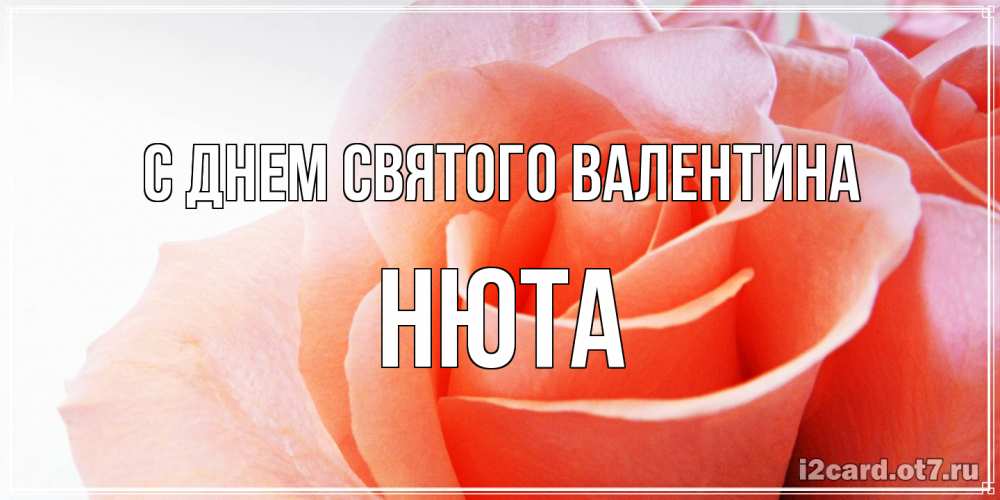 Открытка на каждый день с именем, Нюта С днем Святого Валентина открытка на день Святого Валентина с розовой розой Прикольная открытка с пожеланием онлайн скачать бесплатно 