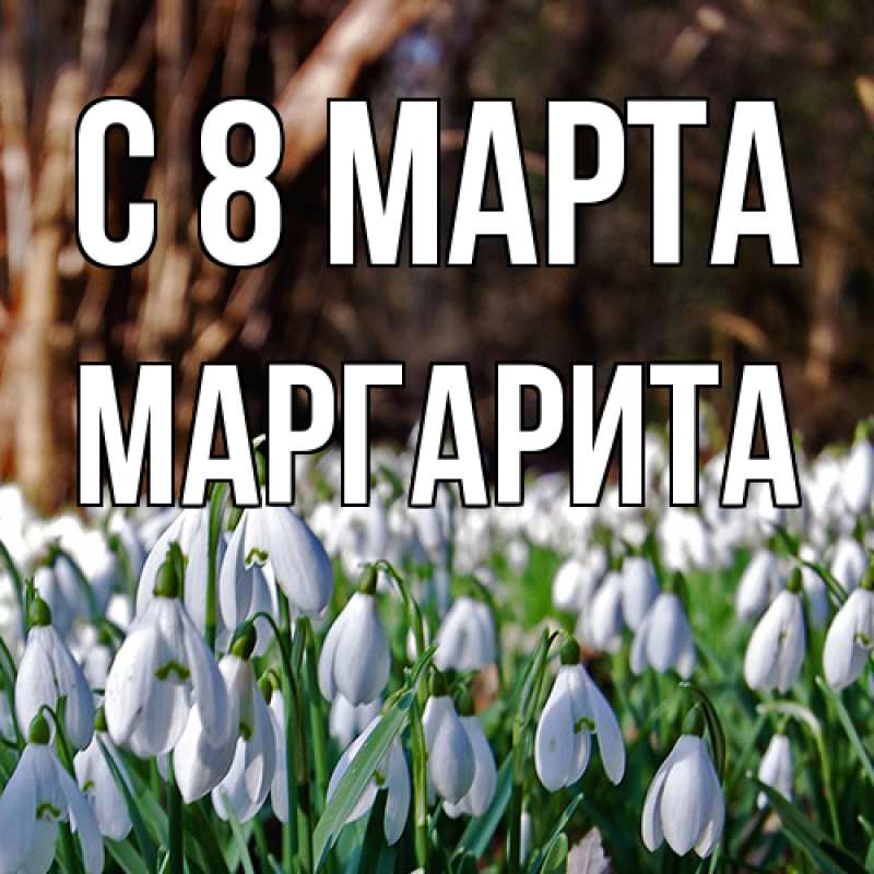 Картинка C 8 МАРТА, Маргарита
