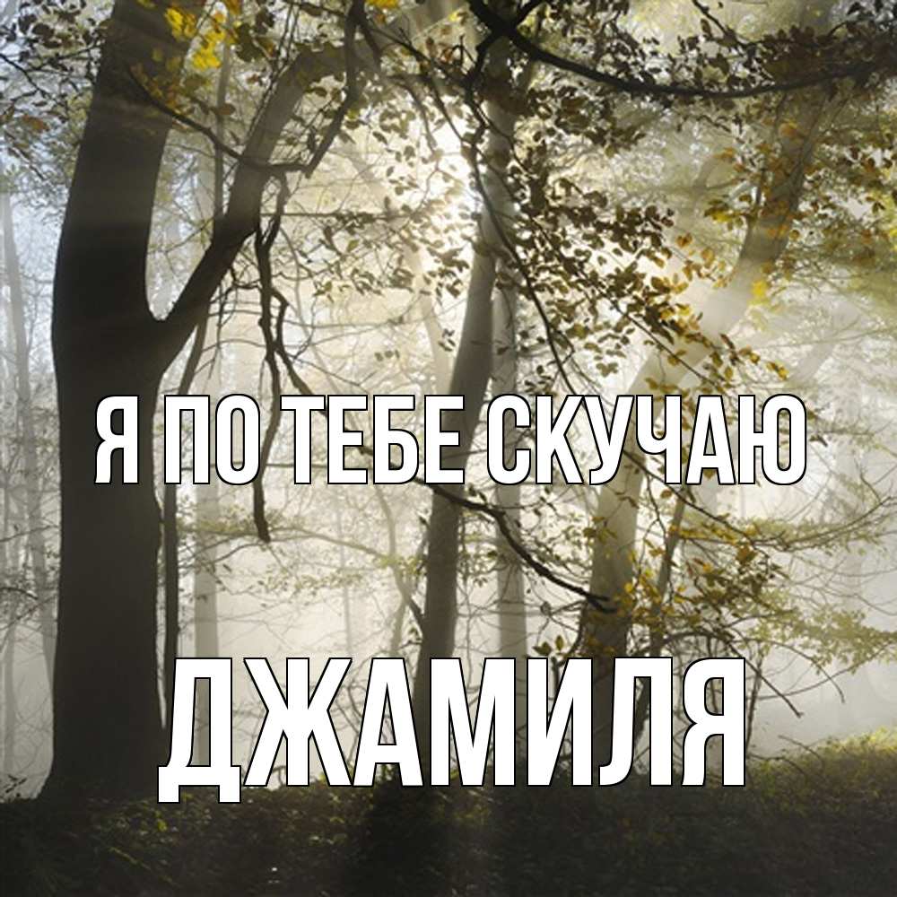 Открытка на каждый день с именем, Джамиля Я по тебе скучаю грустно Прикольная открытка с пожеланием онлайн скачать бесплатно 