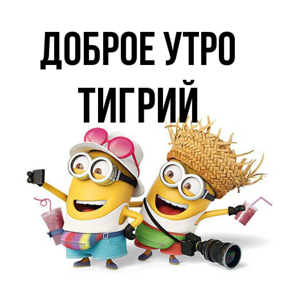 Открытка на каждый день с именем, Тигрий Доброе утро карнавал Прикольная открытка с пожеланием онлайн скачать бесплатно 