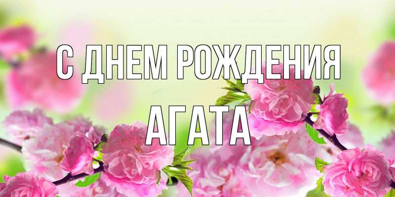 Картинка С днем рождения, Агата