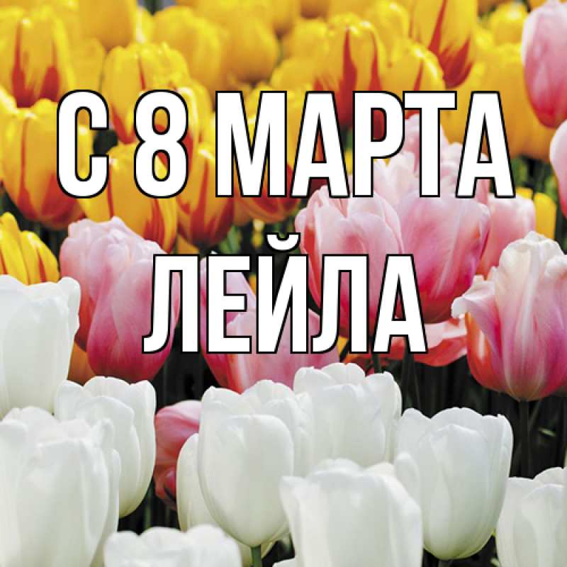 Картинка C 8 МАРТА, Лейла