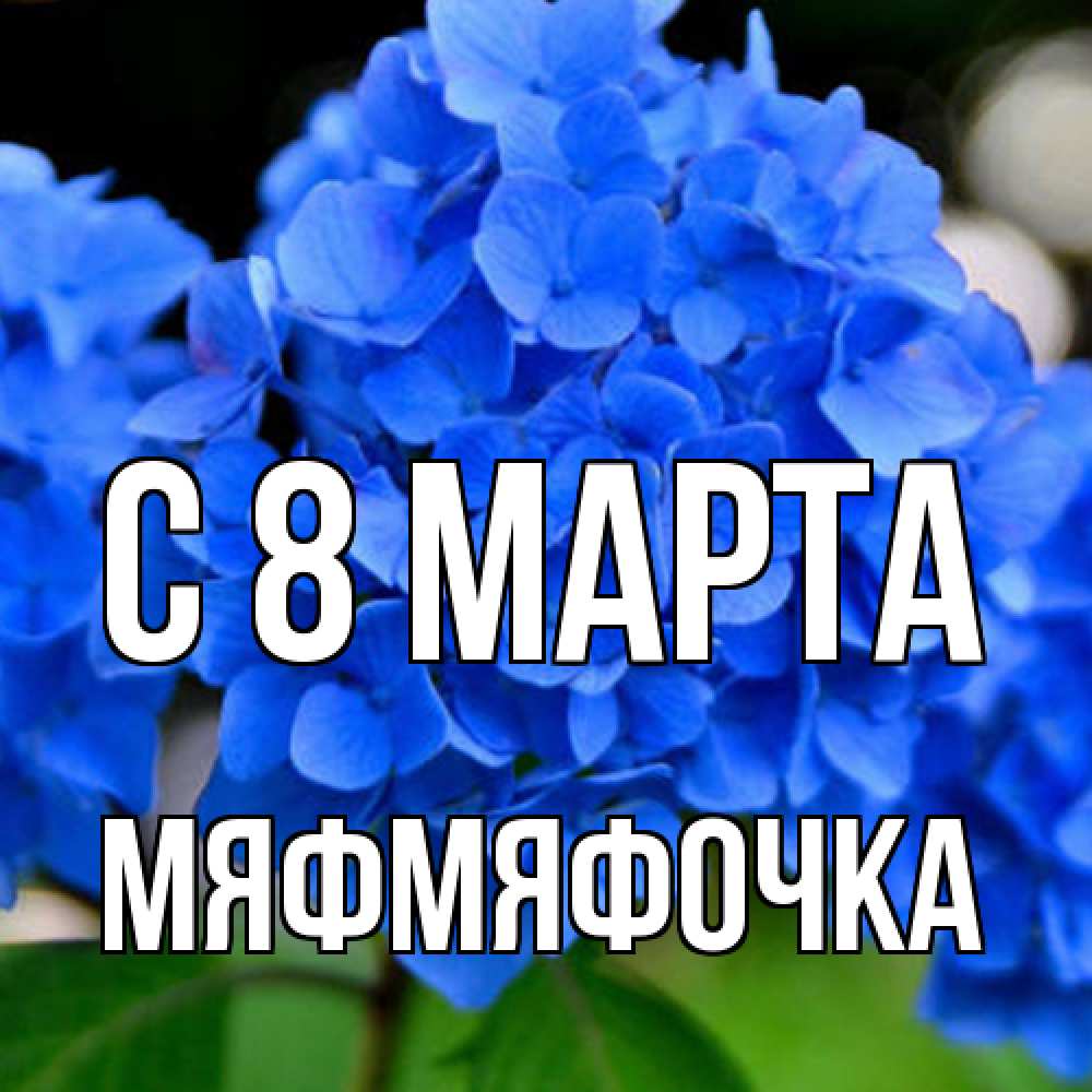 Открытка на каждый день с именем, мяфмяфочка C 8 МАРТА синие цветы Прикольная открытка с пожеланием онлайн скачать бесплатно 