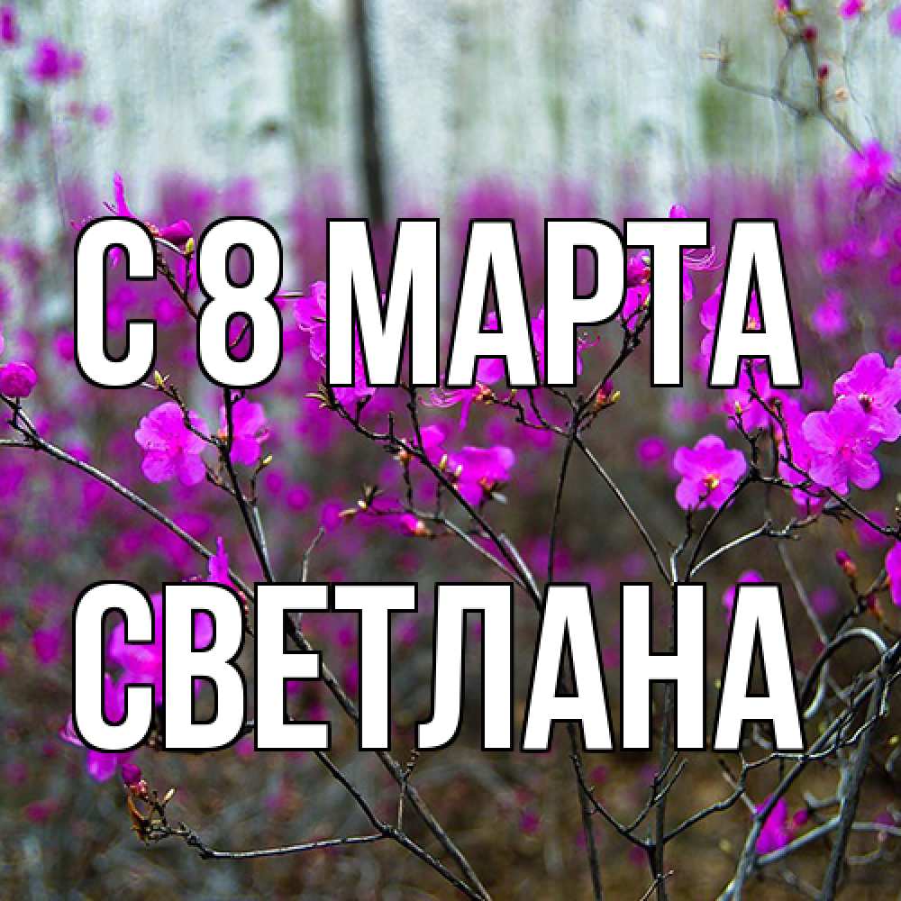 Открытка на каждый день с именем, Светлана C 8 МАРТА дикие цветы Прикольная открытка с пожеланием онлайн скачать бесплатно 