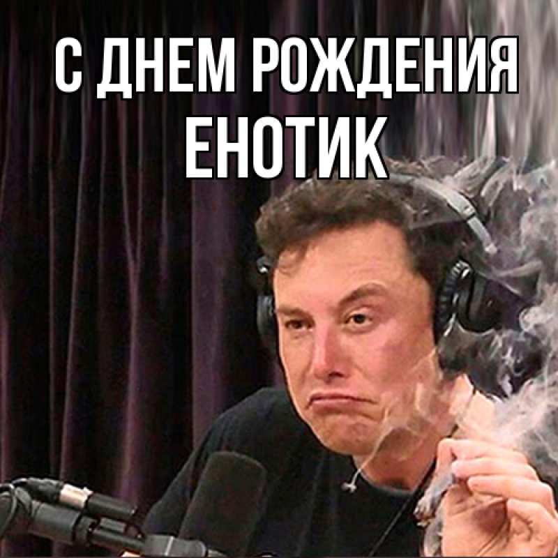 Картинка С днем рождения, Енотик