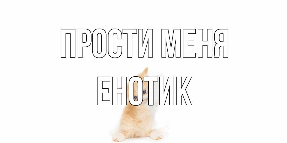 Открытка на каждый день с именем, Енотик Прости меня кот Прикольная открытка с пожеланием онлайн скачать бесплатно 