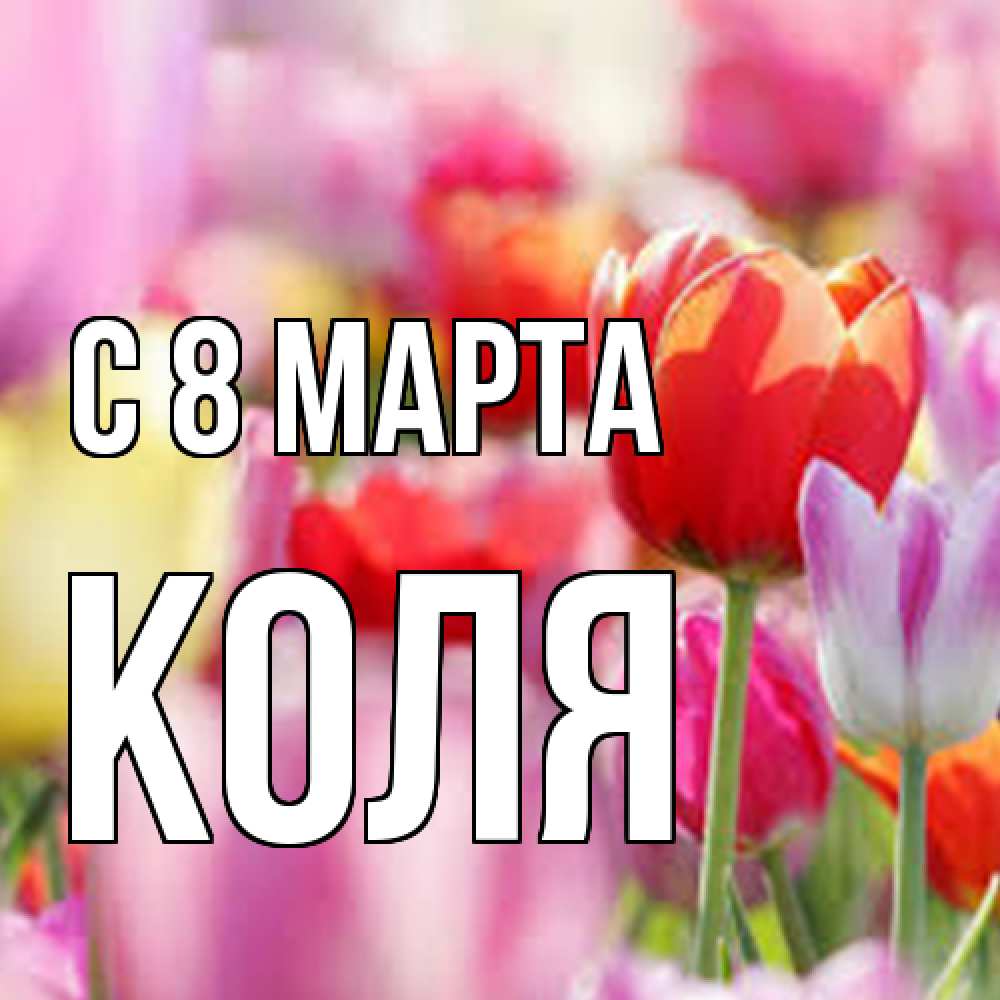 Открытка на каждый день с именем, Коля C 8 МАРТА на международный женский день 2 Прикольная открытка с пожеланием онлайн скачать бесплатно 