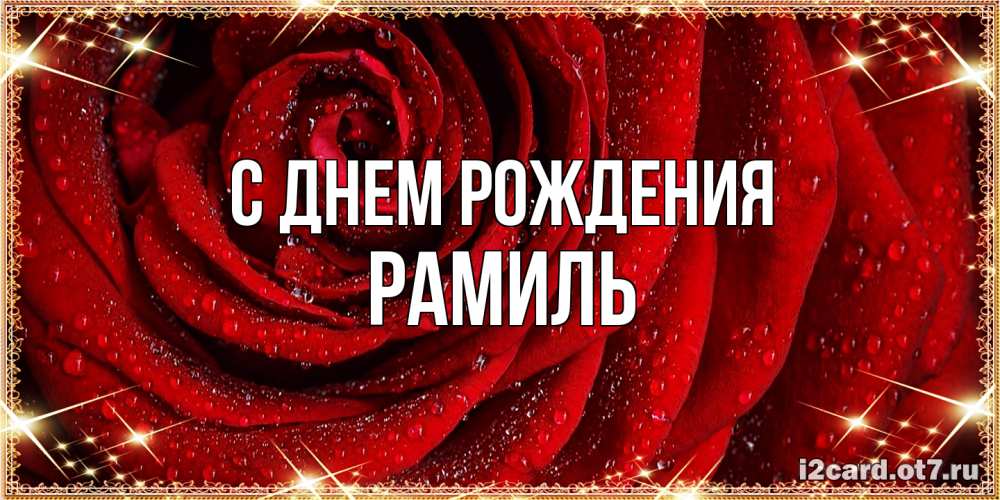 Открытка на каждый день с именем, Рамиль С днем рождения роса на розе блестящая в лучах солнца Прикольная открытка с пожеланием онлайн скачать бесплатно 