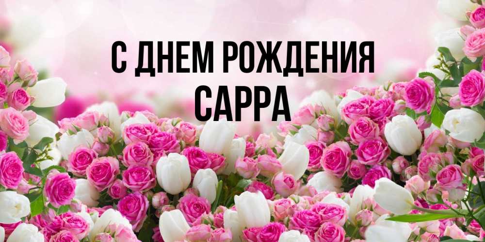 Открытка на каждый день с именем, Сарра С днем рождения открытка с разными розами Прикольная открытка с пожеланием онлайн скачать бесплатно 